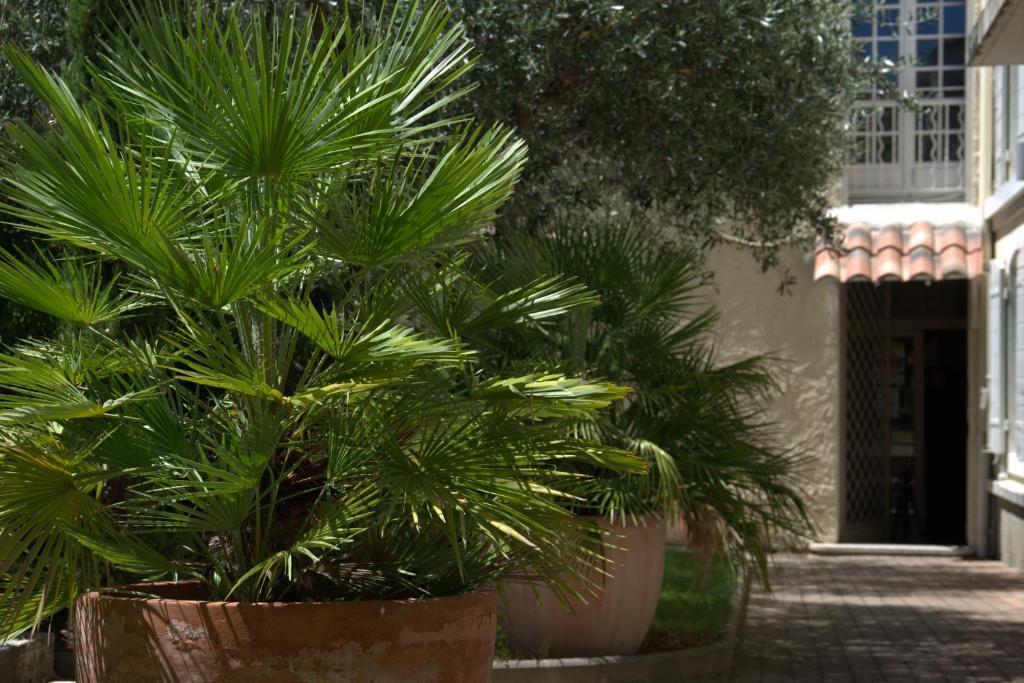 Hotel Du Cheval Blanc Saint-Rémy-de-Provence 외부 사진